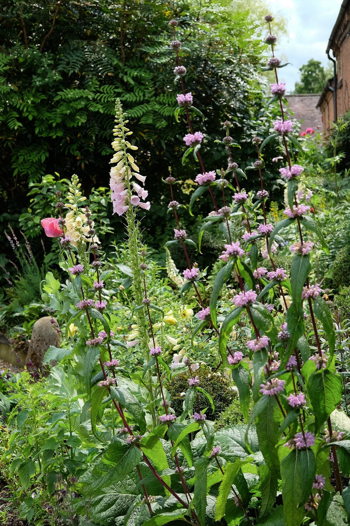 The Front Borders in Summer ’25 by Sian Egan