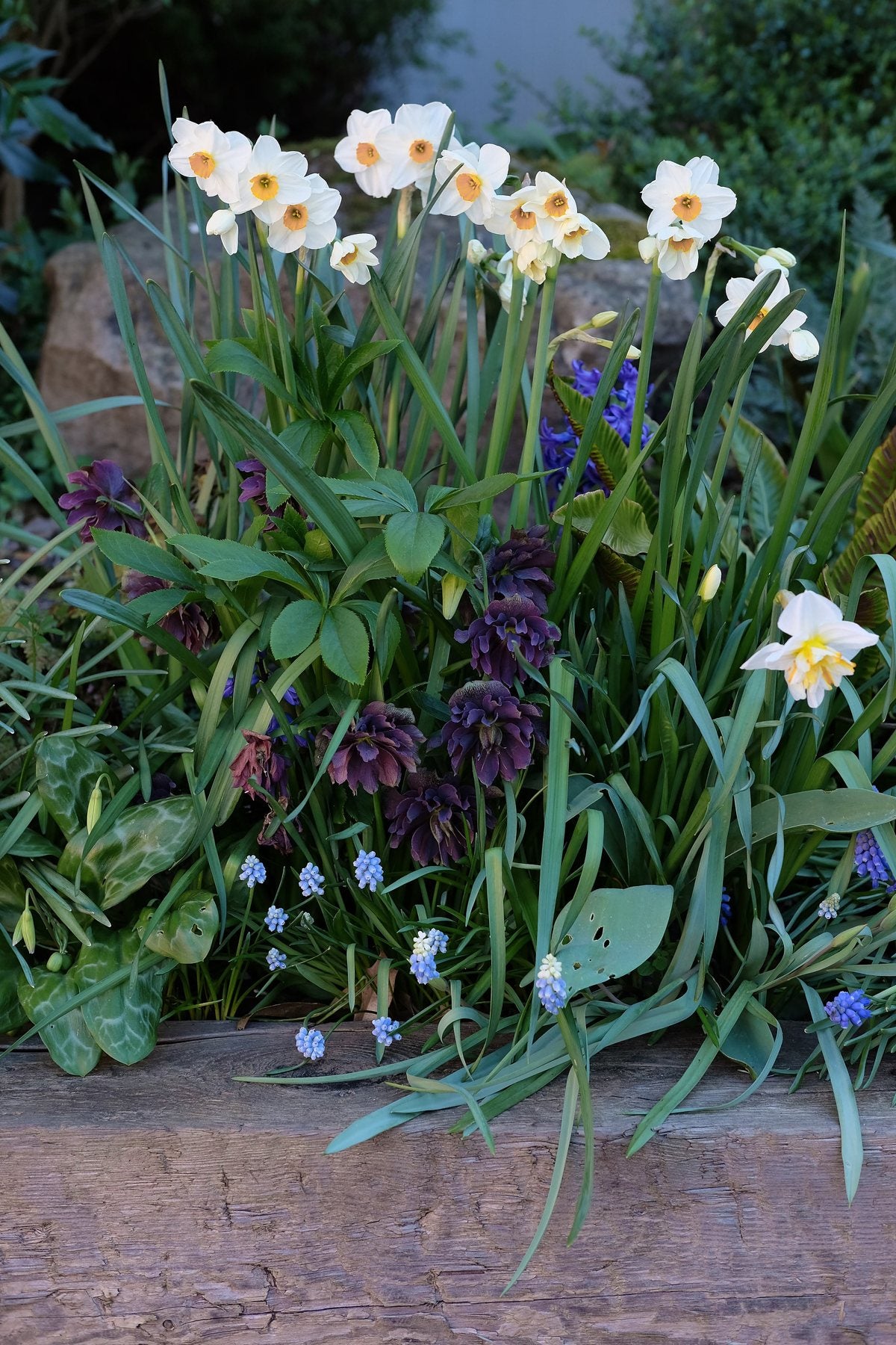 The Front Borders in Spring ’25 by Sian Egan