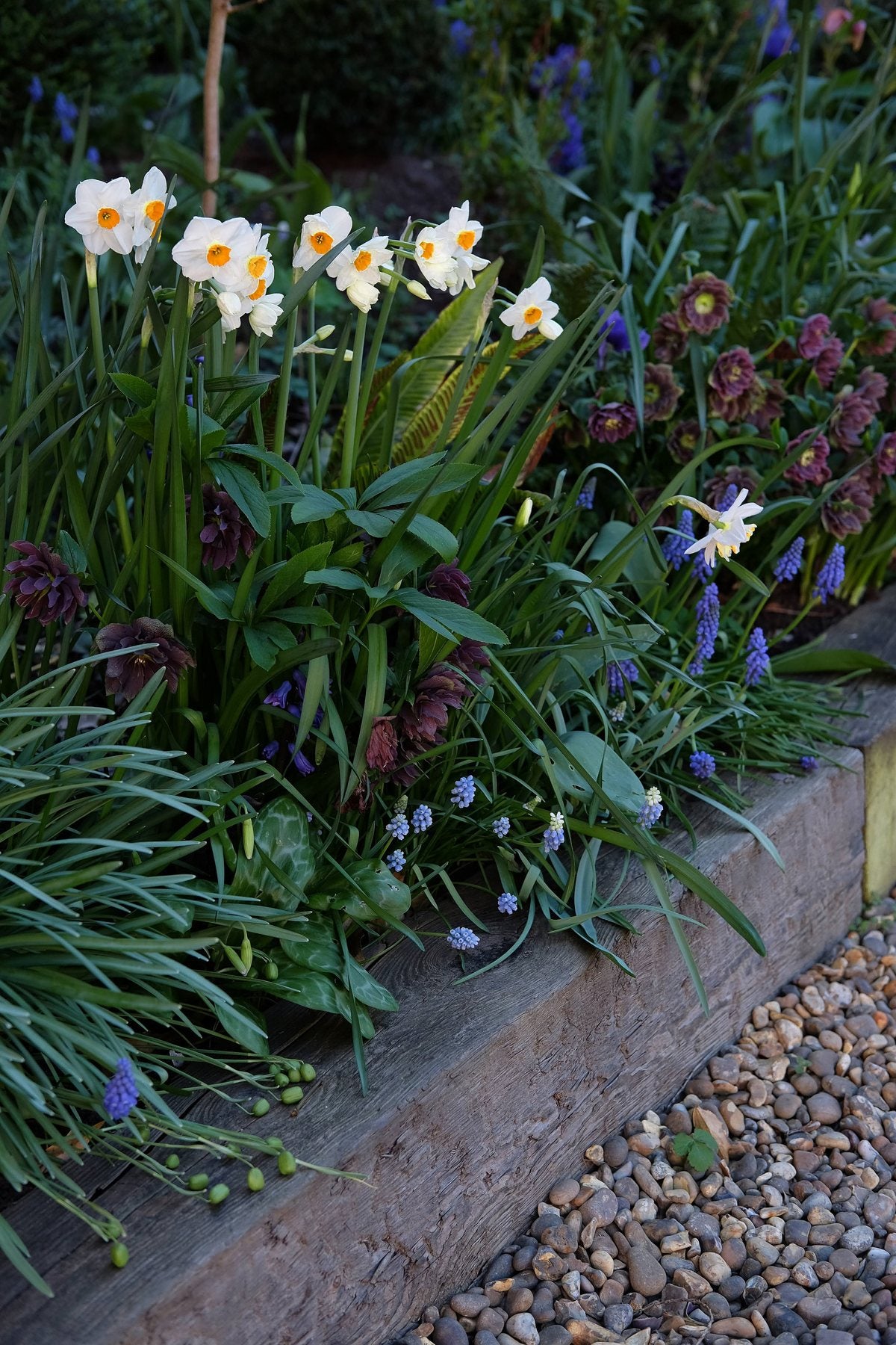 The Front Borders in Spring ’25 by Sian Egan