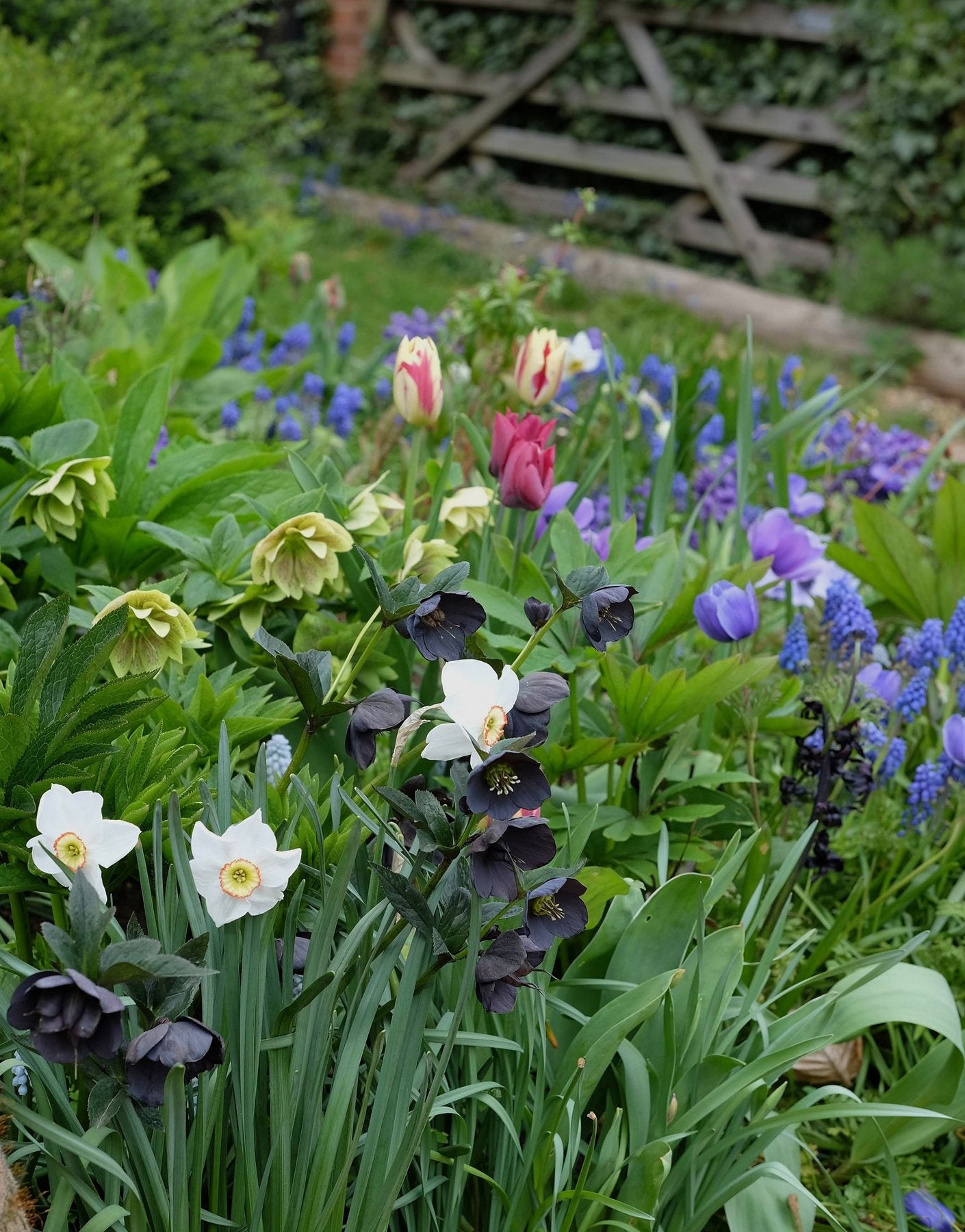The Front Borders in Spring ’25 by Sian Egan