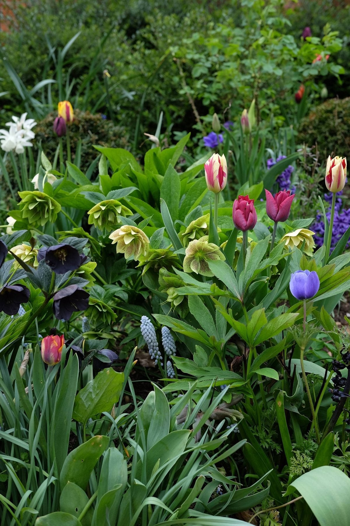 The Front Borders in Spring ’25 by Sian Egan
