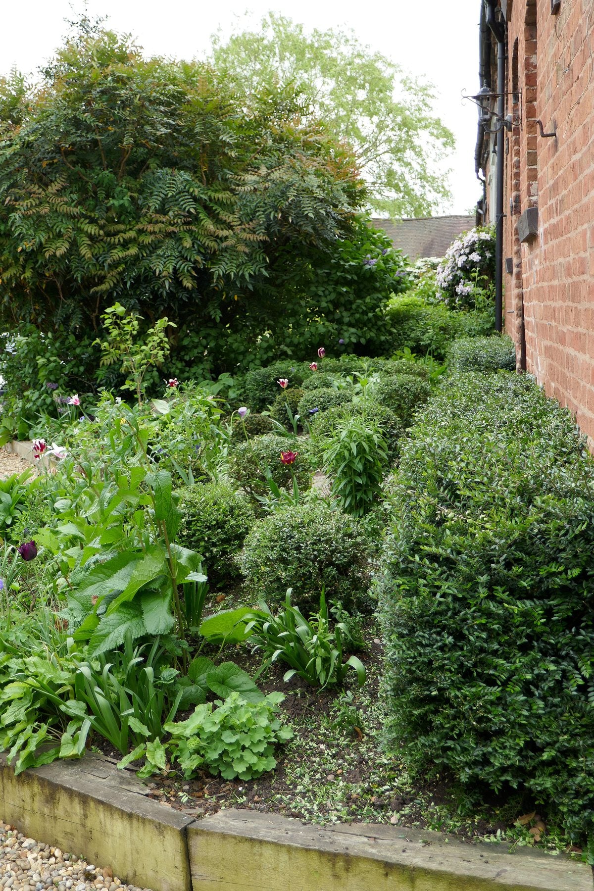 The Front Borders in Spring ’25 by Sian Egan