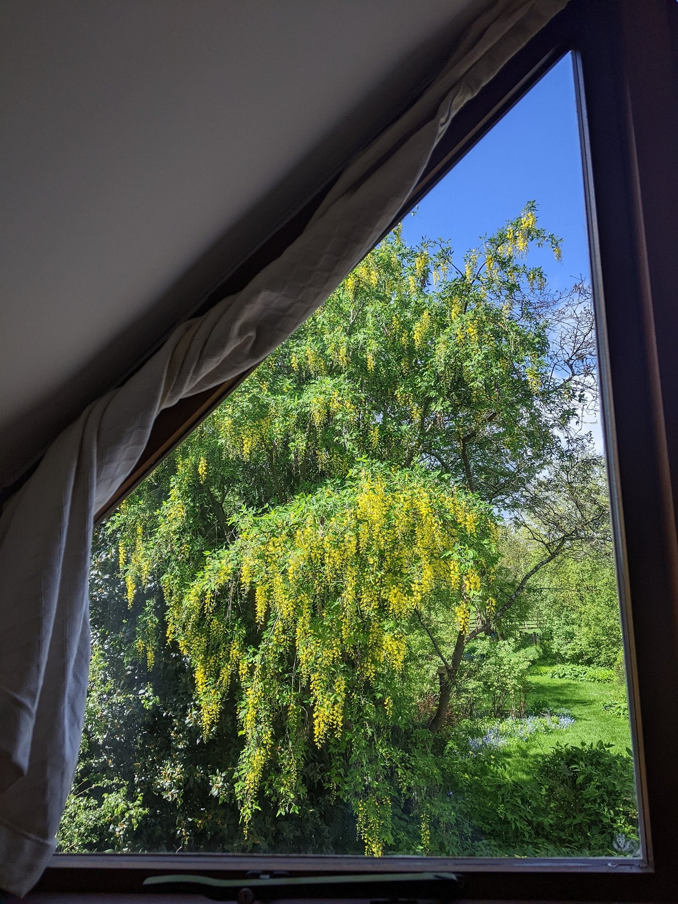 Windows Through the Seasons by Sian Egan