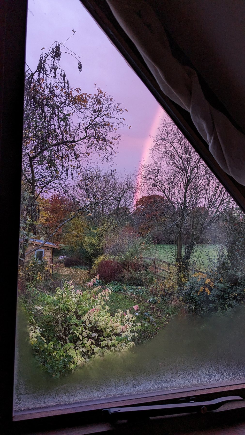 Windows Through the Seasons by Sian Egan