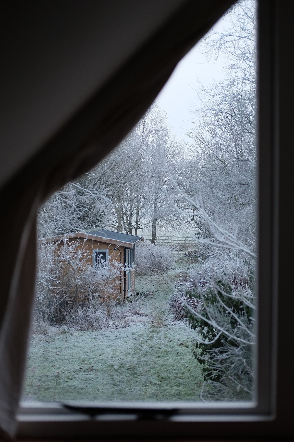 Windows Through the Seasons by Sian Egan
