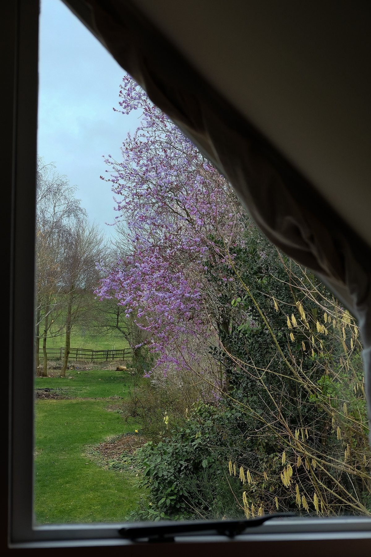 Windows Through the Seasons by Sian Egan
