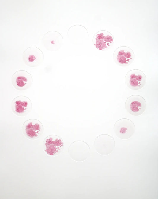 Spring Breath by Emiko Aida, original printmaking