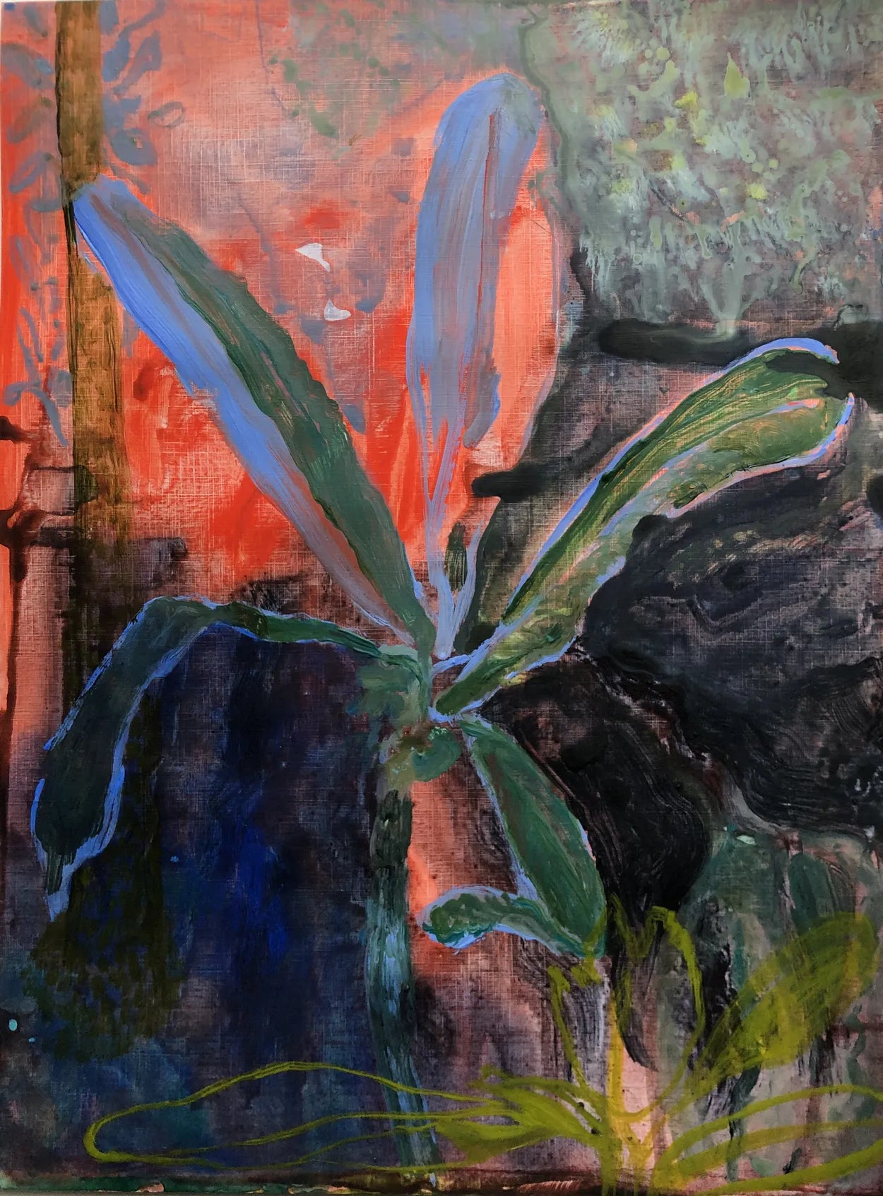 Sunderland Winter Garden II by Charlotte Johnston