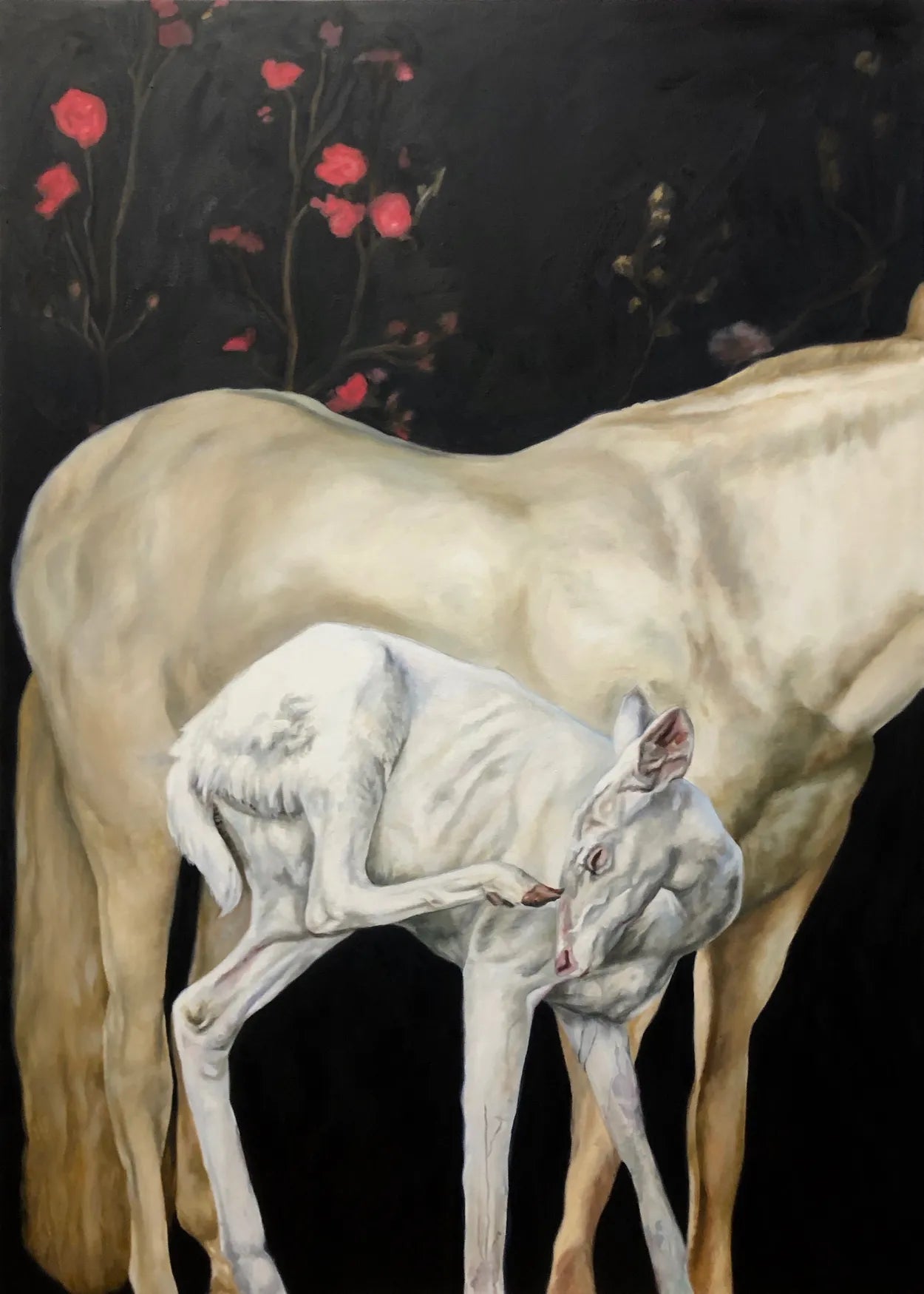 The Hunt by Phoebe Hardwick