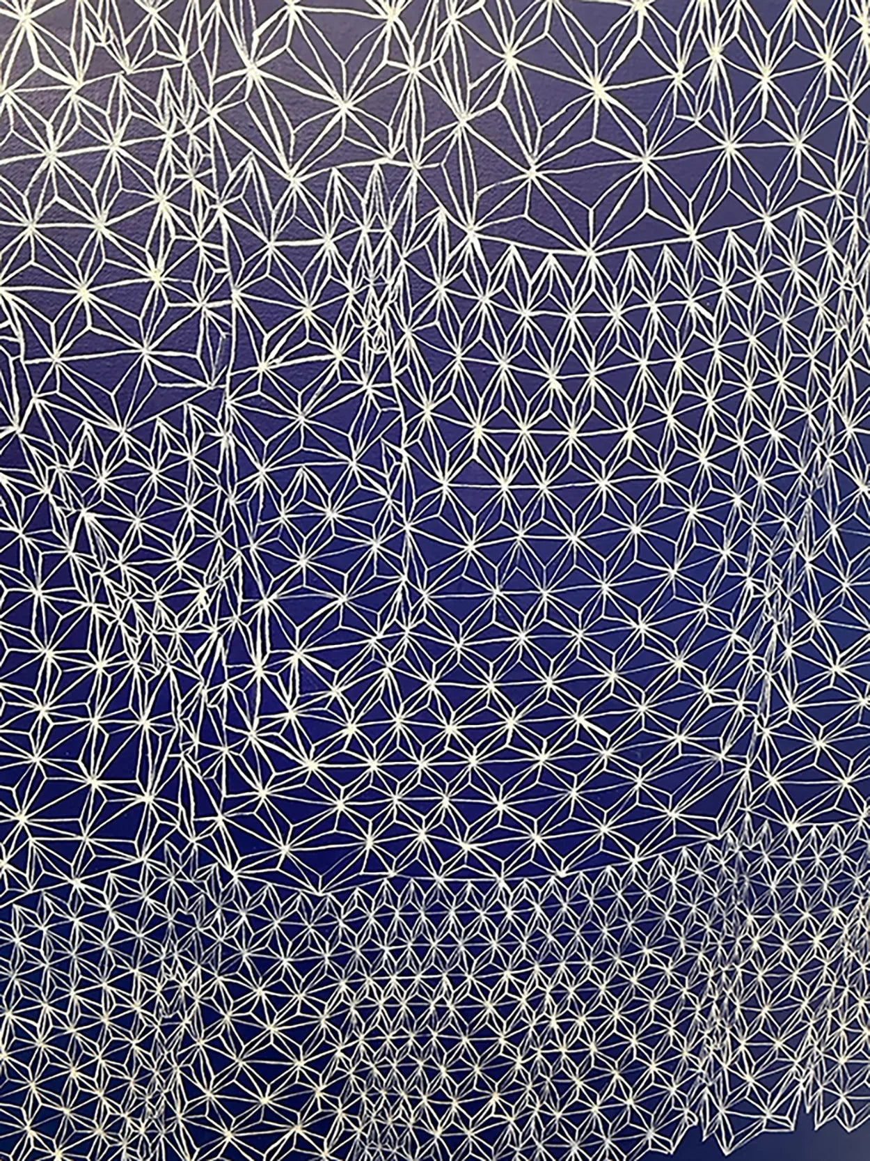 Through a Veil by Sara Willett