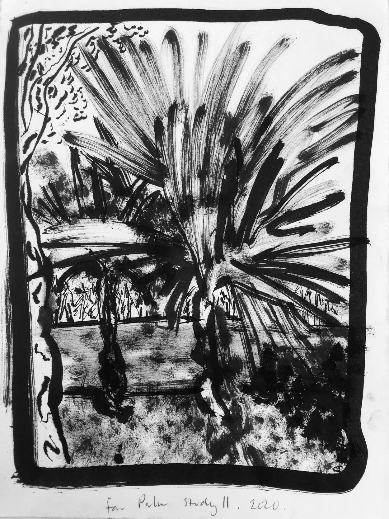 Fan Palm Study II by Charlotte Johnston