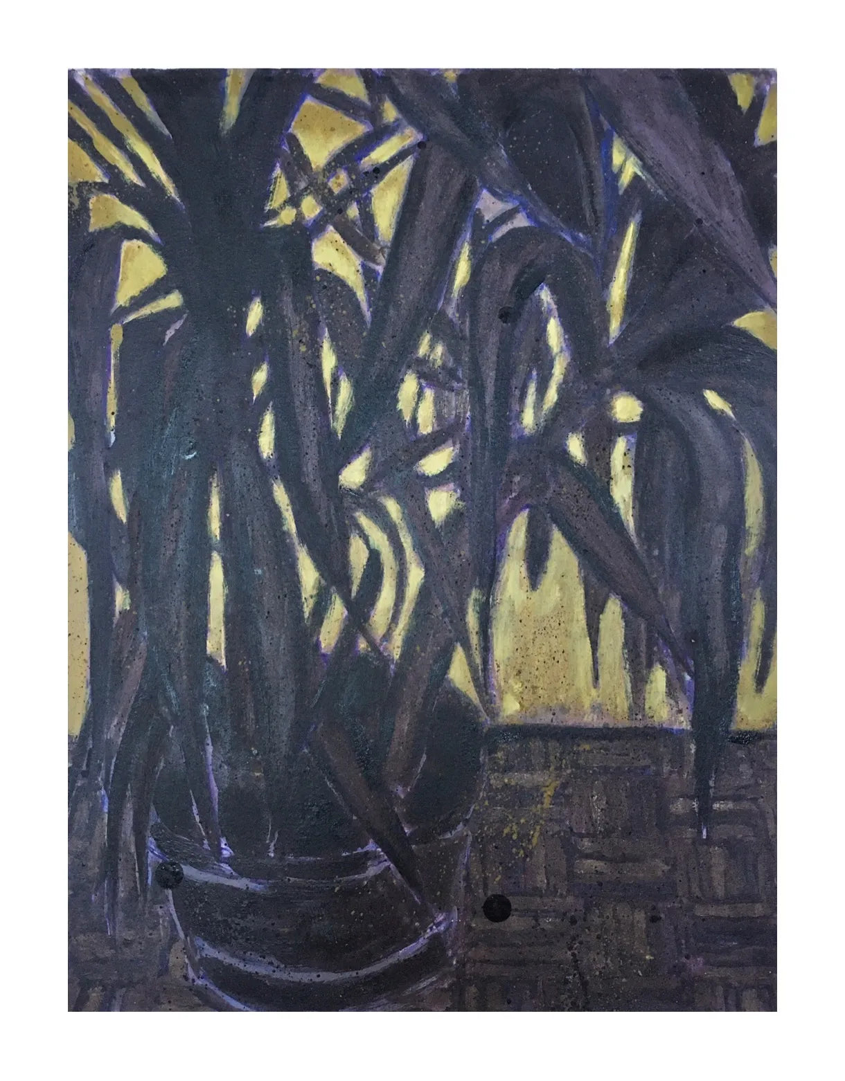 Untitled (Houseplant) by Ed Saye