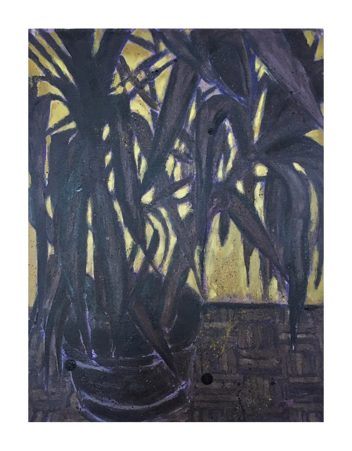 Untitled (Houseplant) by Ed Saye