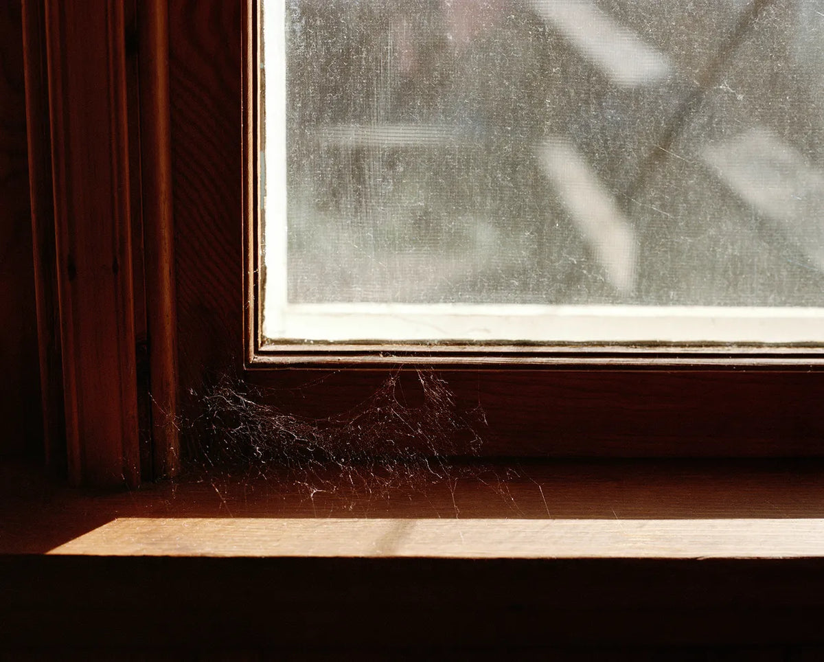 Web, Who Drinks Your Tears? Series