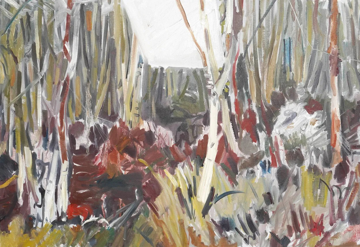 Westhay Moor Birches by Scott Whiteman