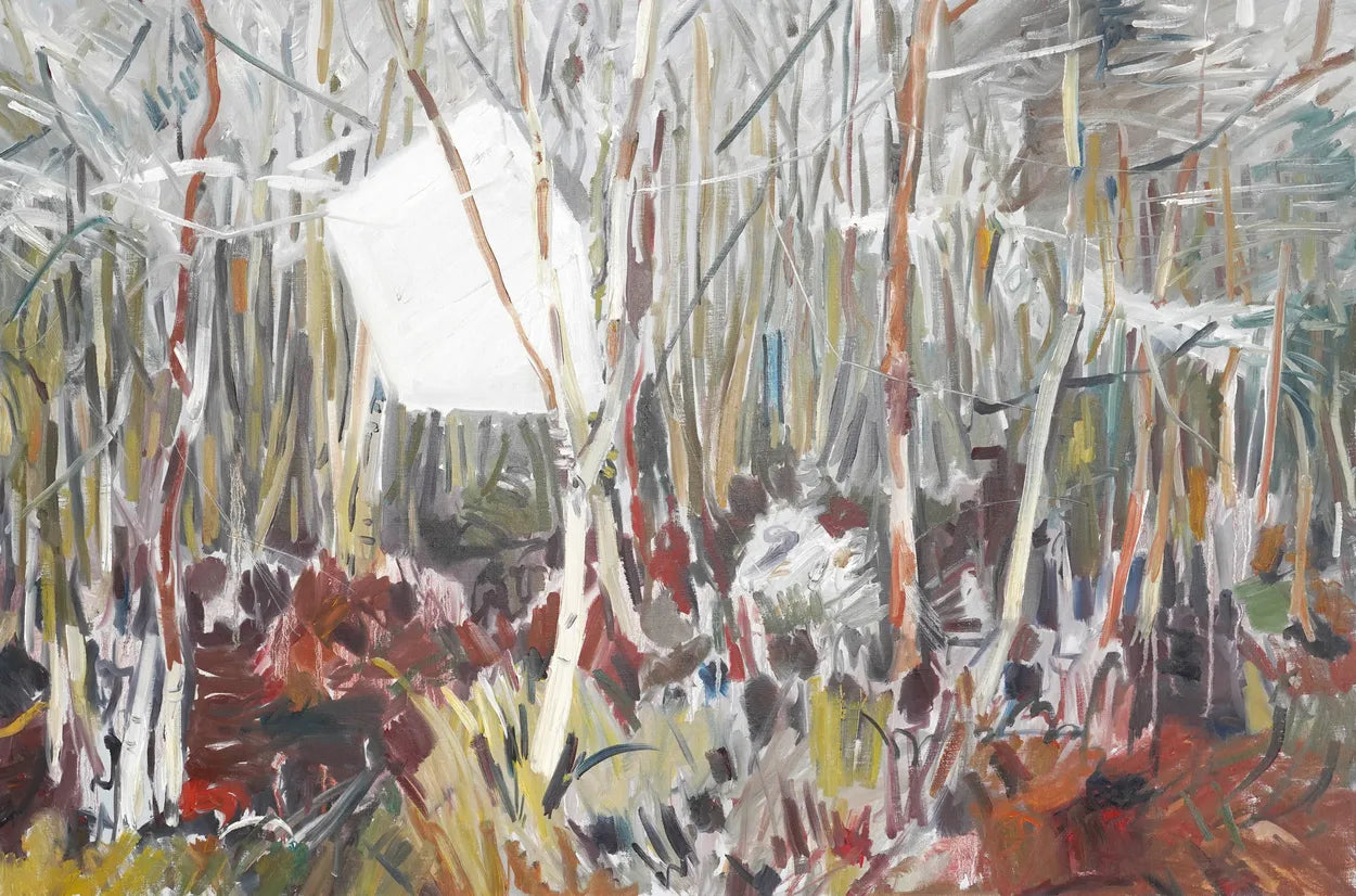 Westhay Moor Birches by Scott Whiteman