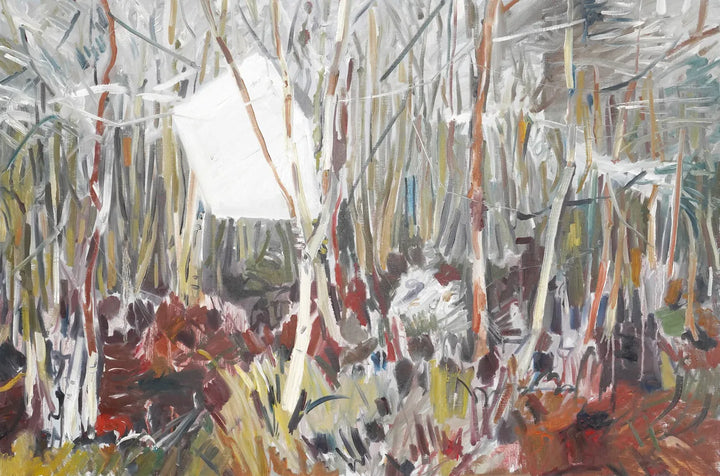 Westhay Moor Birches by Scott Whiteman