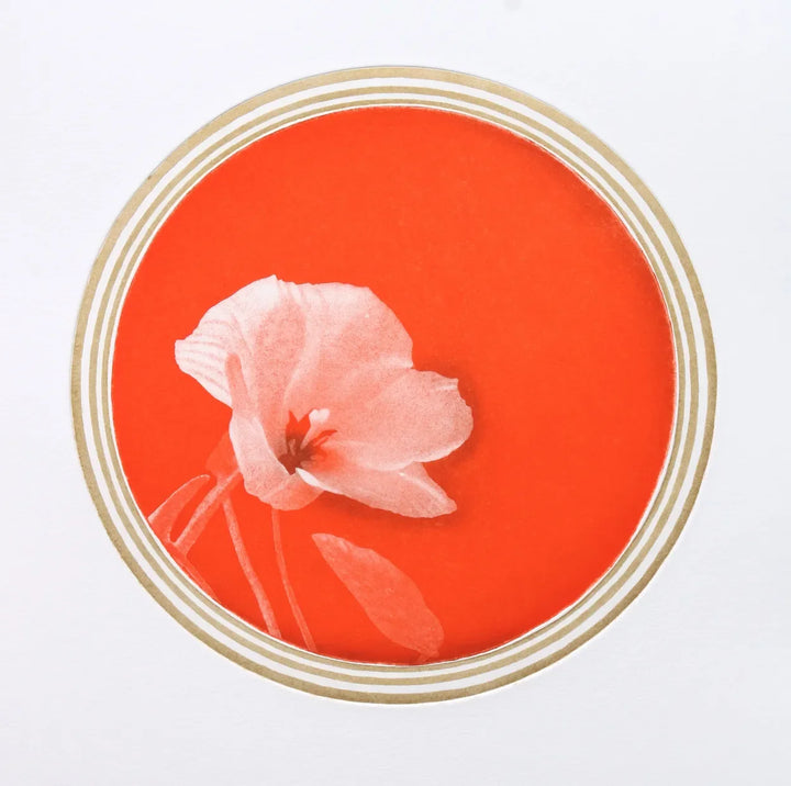 White Flower 2 by Emiko Aida, original printmaking