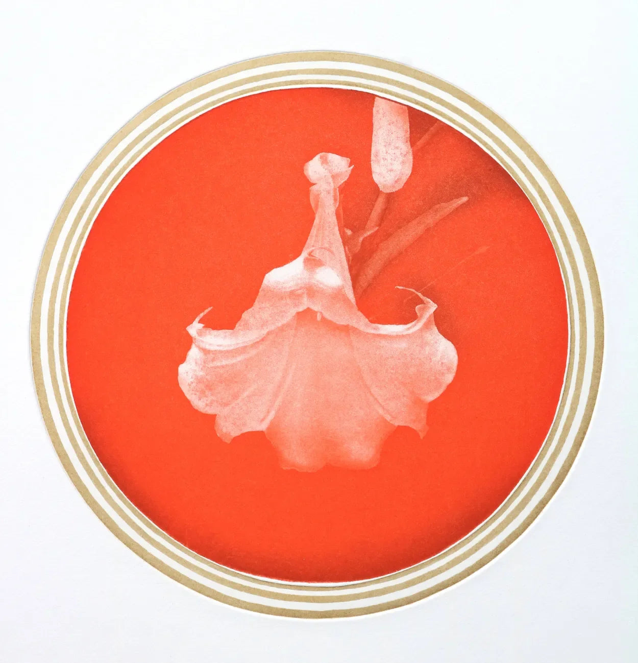 White Flower 3 by Emiko Aida, original printmaking