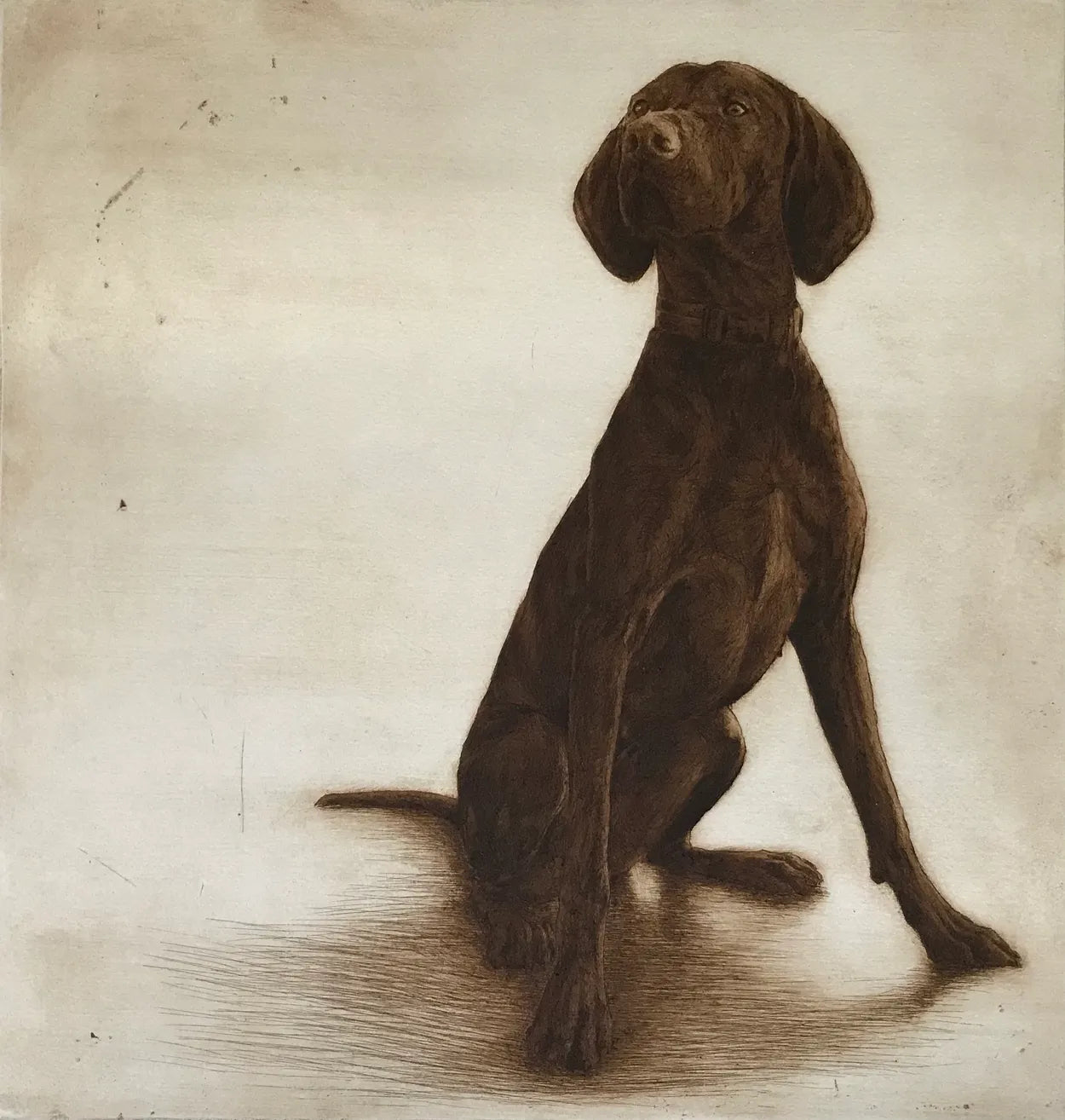 Willow by Helen Fay